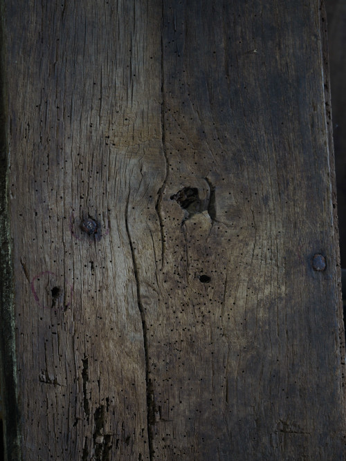 planche en vieux bois